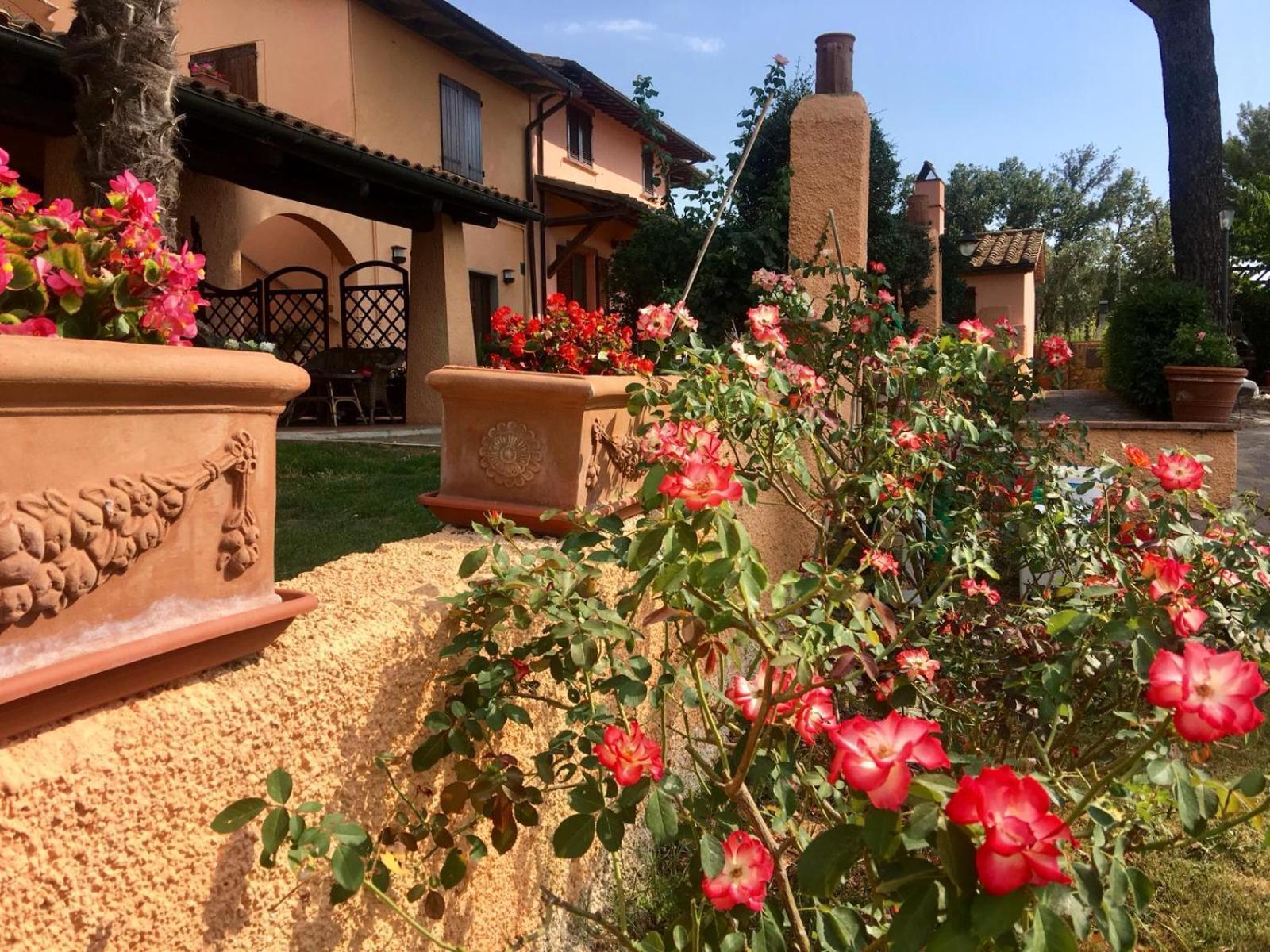 Agriturismo Terranera Scansano Exterior foto