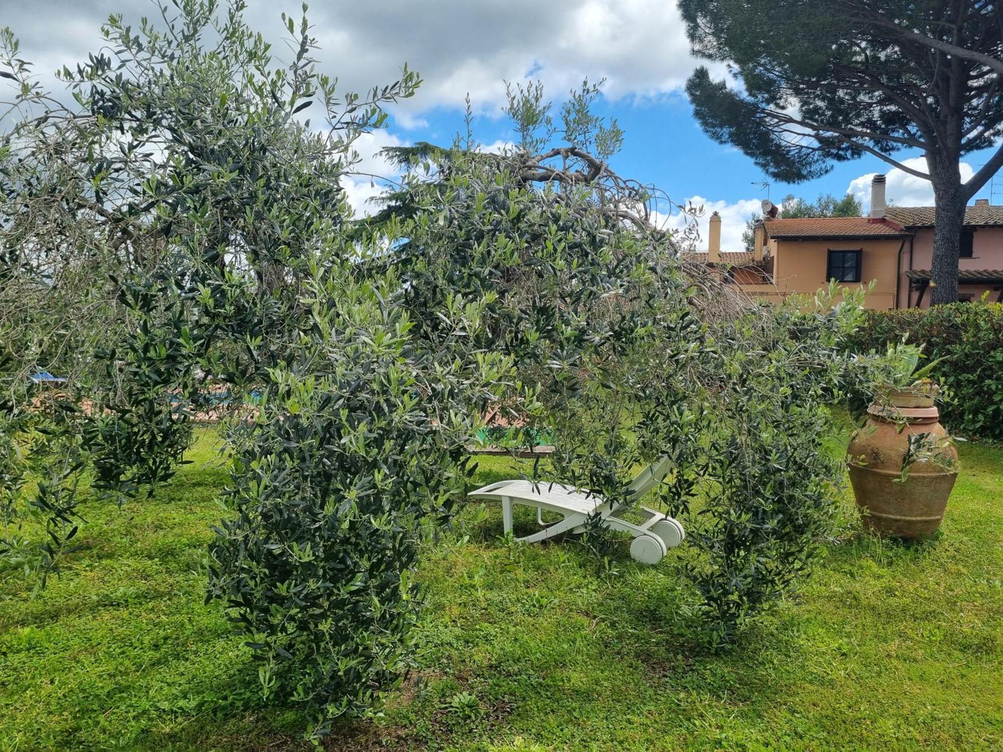 Agriturismo Terranera Scansano Exterior foto