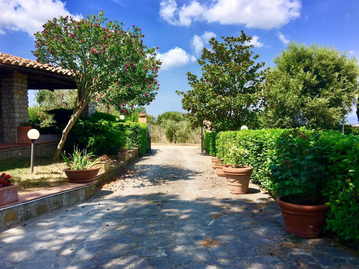 Agriturismo Terranera Scansano Exterior foto