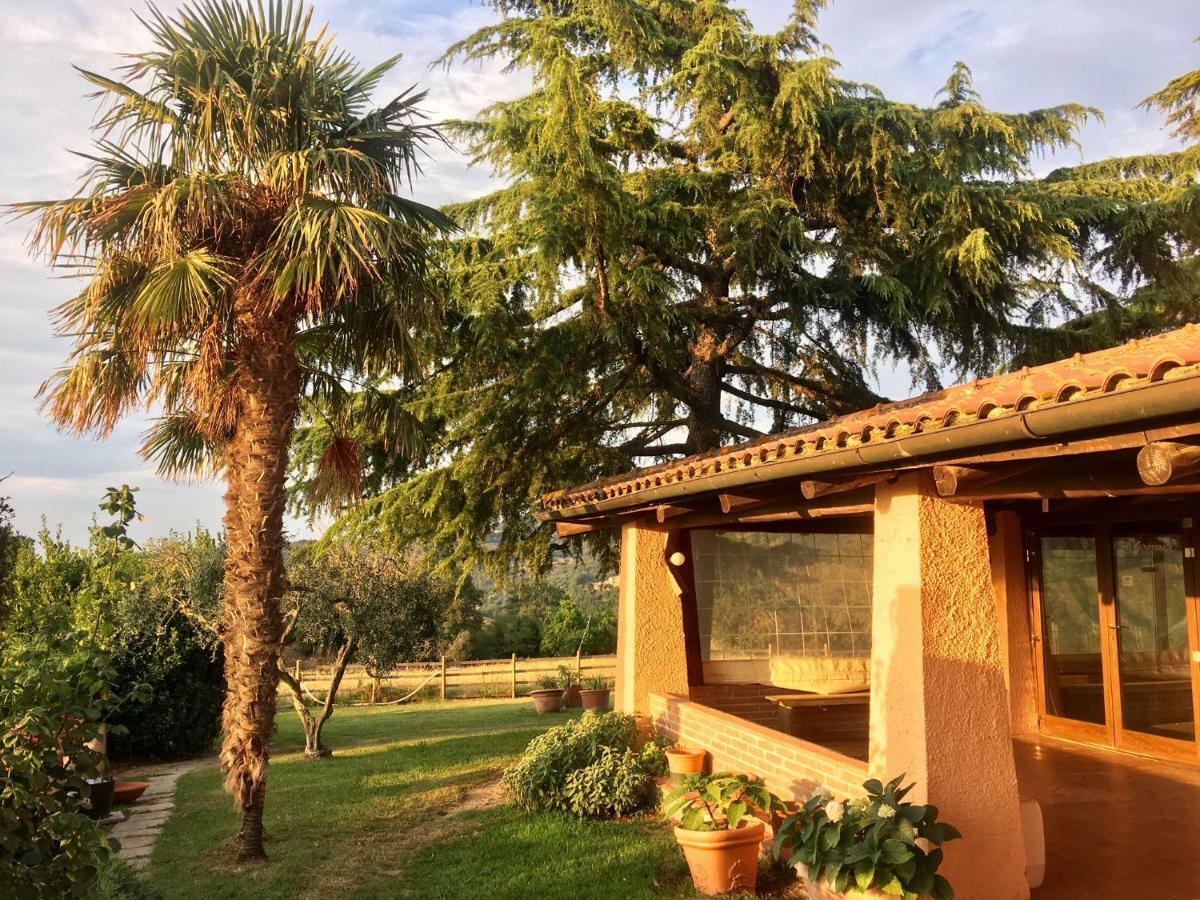 Agriturismo Terranera Apartment Scansano Exterior foto