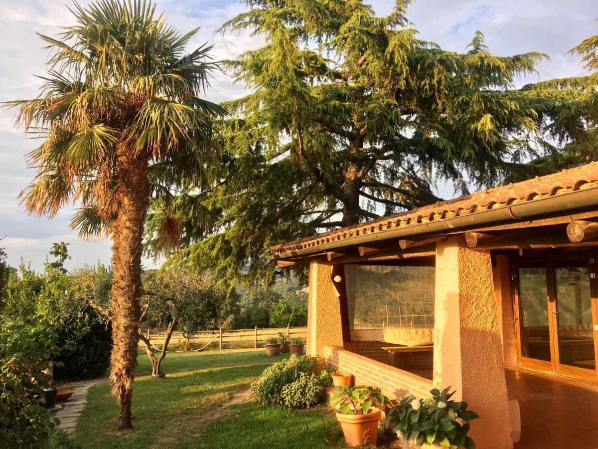 Agriturismo Terranera Scansano Exterior foto